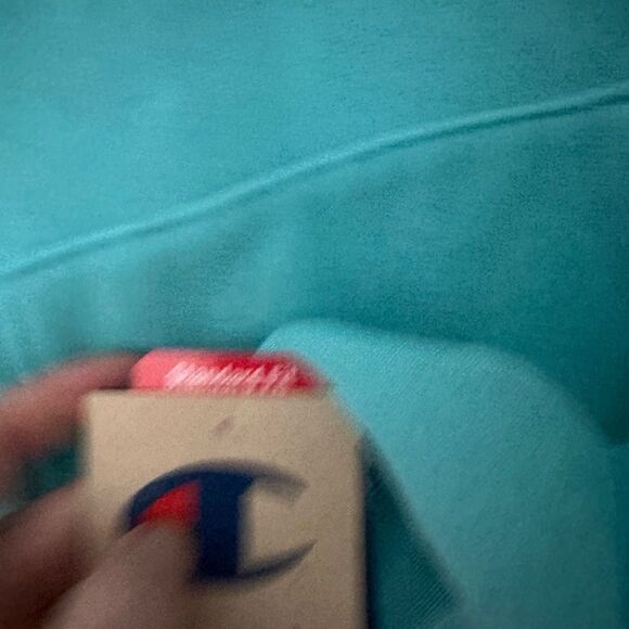 Champion heavyweight Hoodie Logo on front NWT - Picture 8 of 9